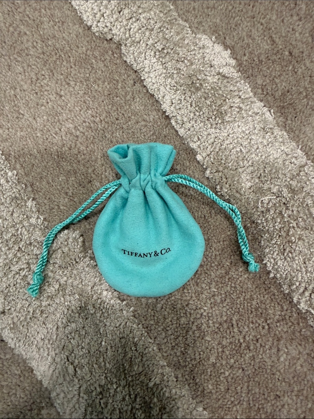 Tiffany & Co. Robin's Egg Blue Velvet Drawstring Pouch